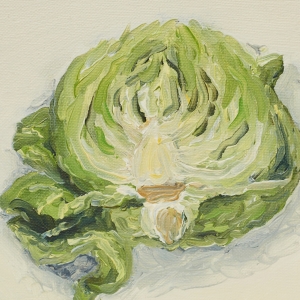 Cabbage